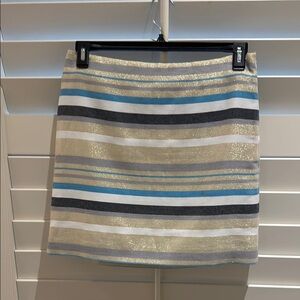 Striped Metallic Skirt